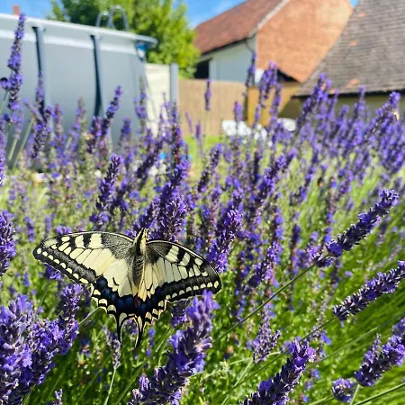 Relax Na Statku U Orlicke Prehrady Apartament *